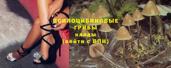 а пвп мука Алзамай