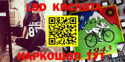 стаф Сланцы