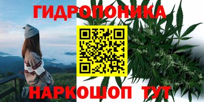 стаф Сланцы