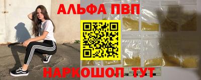 стаф Сланцы