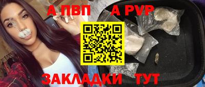 стаф Сланцы