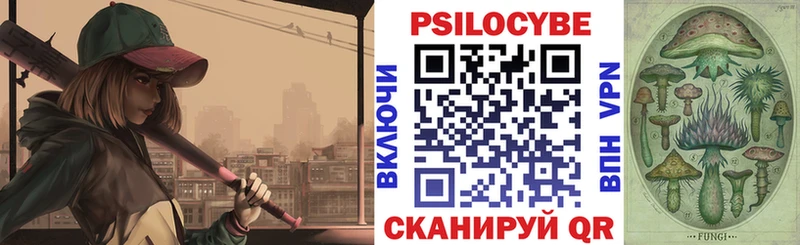 купить наркотики цена  Тосно  Псилоцибиновые грибы прущие грибы 