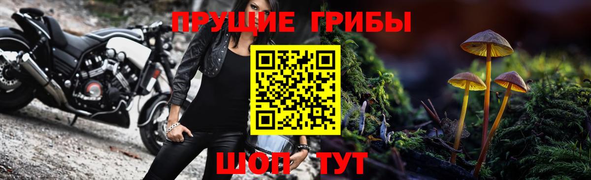 Псилоцибиновые грибы MAGIC MUSHROOMS  купить   Тосно  Вход с VPN  Галлюциногенные грибы MAGIC MUSHROOMS 