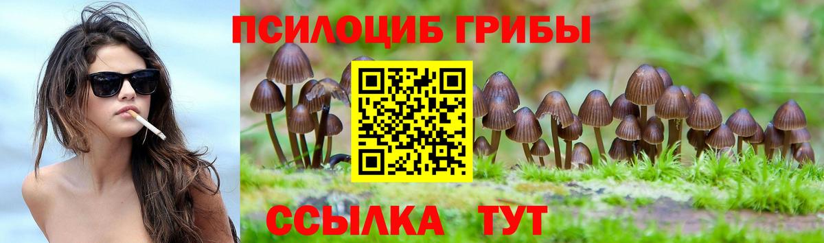 Галлюциногенные грибы GOLDEN TEACHER Тосно