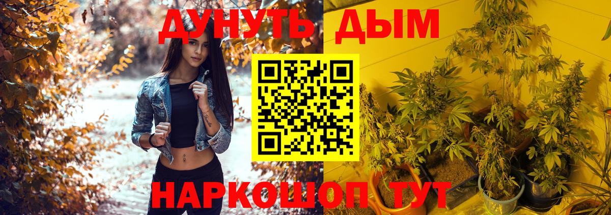 Каннабис планчик  Марихуана AK-47  Бошки марихуана AK-47  Вход с VPN  Шишки марихуана гибрид  Тосно 